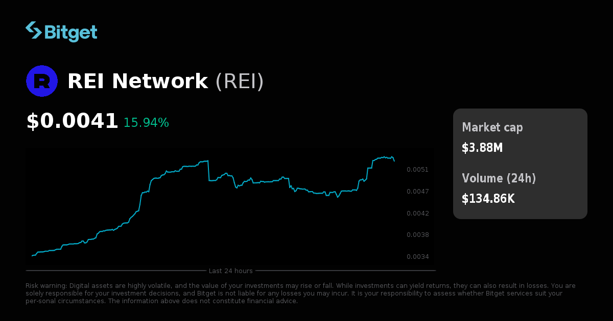 REI Token Utility in